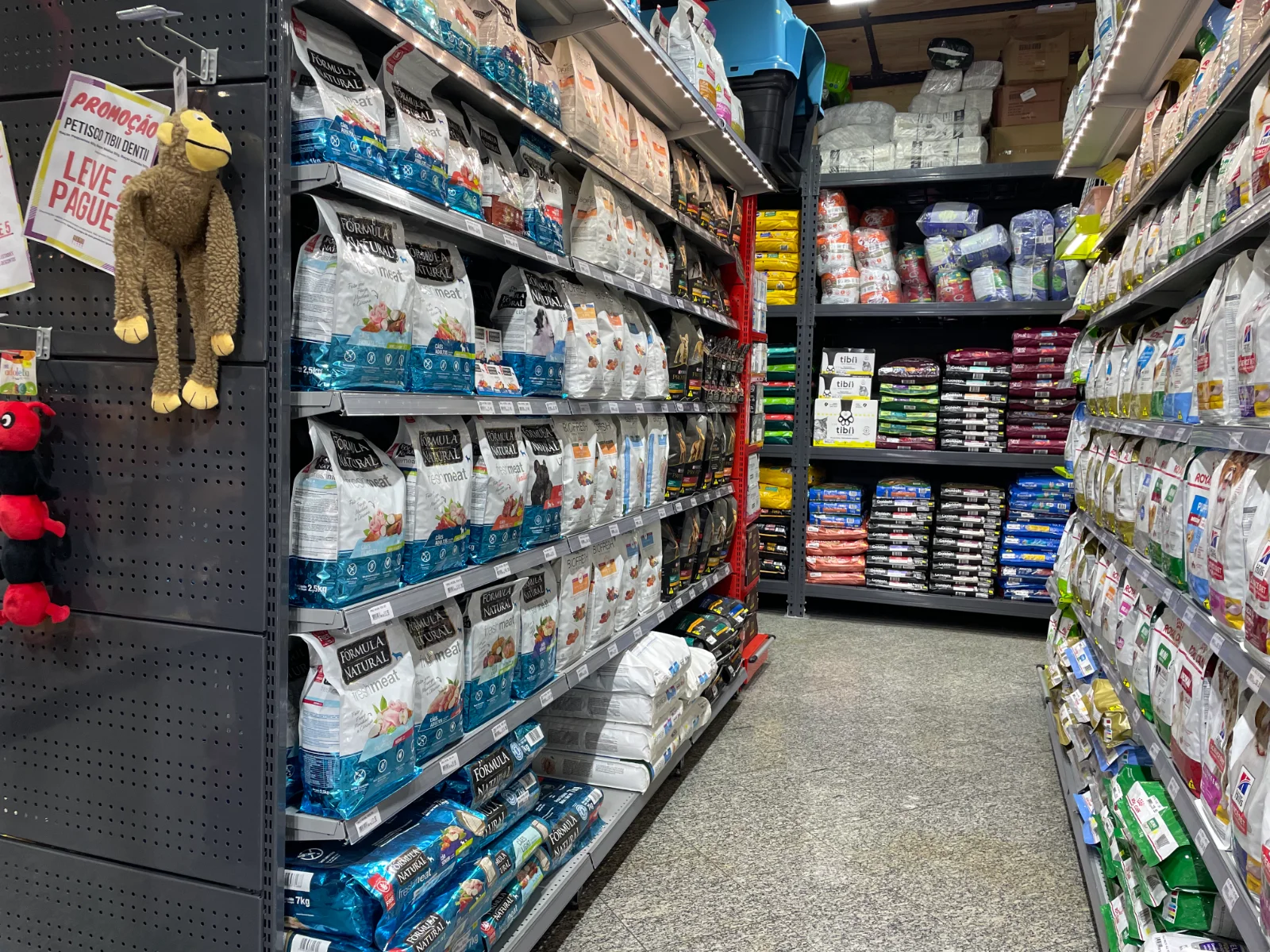 Exposição de acessórios e caixas de transporte em petshop